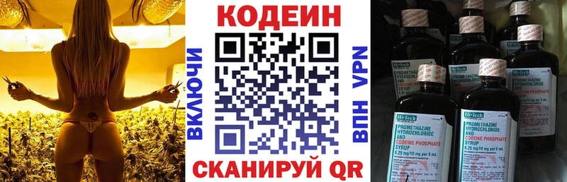 Codein Purple Drank Сясьстрой