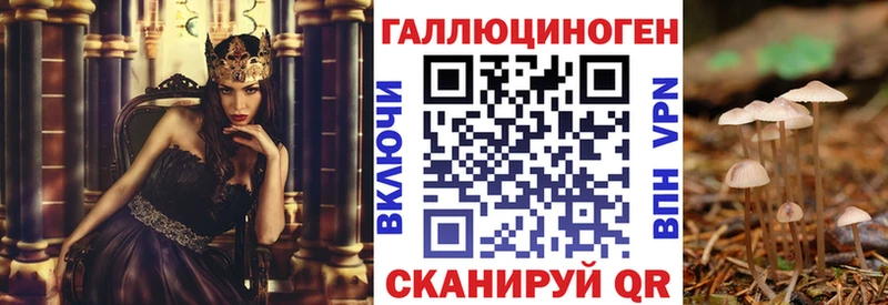 Псилоцибиновые грибы Cubensis  Сясьстрой 